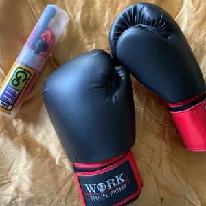 Barely used Boxing Gloves w Training Jump Rope